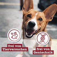 Chewies edelhertengewei heel M - thumbnail