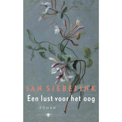 Een lust voor het oog - Jan Siebelink - Hardcover (9789023456513)