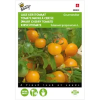 Zaden Tomaten Gourmandise (gele cherry patio) Buzzy - Buzzy - thumbnail