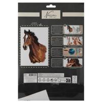 Nassau Schilderen op Nummer Paard - thumbnail