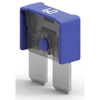 MTA Automotive MAXICOMPACT 60A 06.02960 Platte maxizekering 60 A Blauw 1 stuk(s) - thumbnail