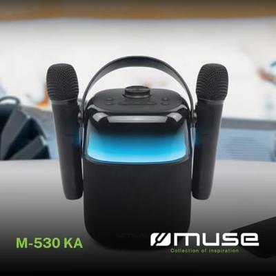 Muse 530Ka Draagbaar Karaoke Systeem Met Batterijen En Micro 30W