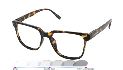 Leesbril Vista Bonita Cubo Photochromic-Hub Havanna-+2.50