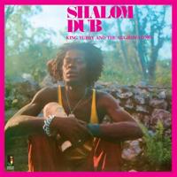 Shalom Dub - LP (5060135760533) - thumbnail