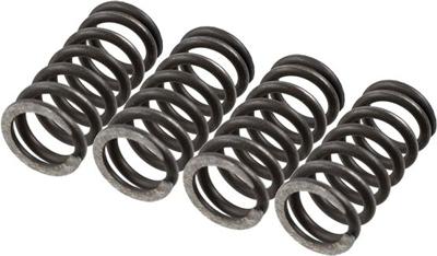 TRW koppelingsveren set clutch spring kit mef147-4