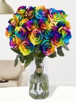 20 regenboog rozen - XL rozen - thumbnail