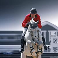 Sprenger Bow balance stijgbeugels zwart maat:12 - thumbnail