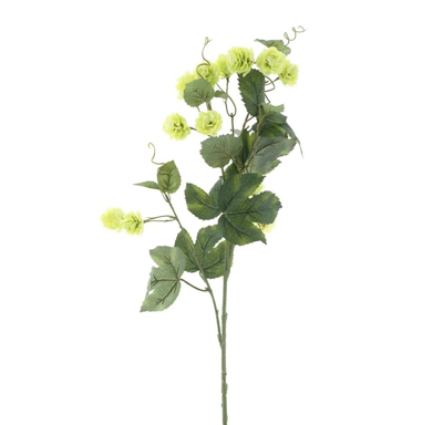Hop flower spray Leffe green 81 cm kunstbloem Erutan Avon - Erutan avon Hop flower spray Leffe green 81 cm kunstbloem Erutan Avon - Erutan avon