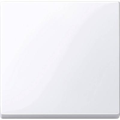 Merten 432125 Wisselschakelaar Afdekking System M Wit 1 stuk(s)