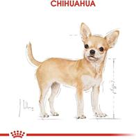 Royal Canin Chihuahua Adult natvoer 85g - thumbnail
