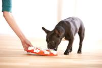 Nina Ottosson dog smart rood - thumbnail