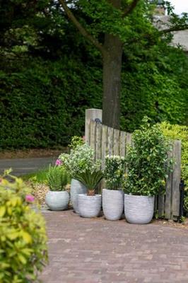 Vaas elegant laag Rib NL 46x58 - Antraciet