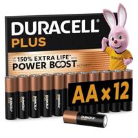 Oplaadbare Batterijen DURACELL DPBLR6B12 1,5 V - thumbnail