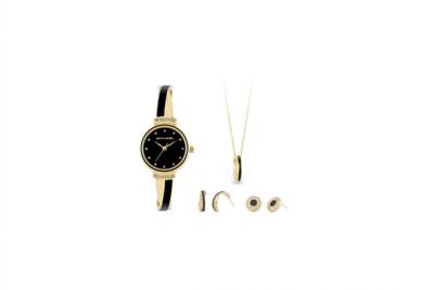 Pierre Cardin Gift Set Watch & Necklace & Earrings PCX6855L297