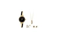 Pierre Cardin Gift Set Watch & Necklace & Earrings PCX6855L297 - thumbnail