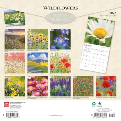 Wildflowers 2026 12 X 24 Inch (Hanging) Monthly Square Wall Calendar Plastic-Free
