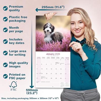 Bearded Collie Kalender 2026 Bearded Collie Kalender 2026