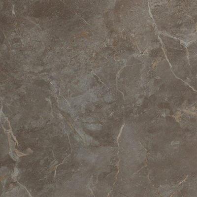 Roma Stone Pietra Brown zijde glans 80x80 rett