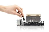 Noctua NH-L9x65 Low Profile - thumbnail