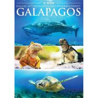 David Attenborough - Galapagos (DVD) - thumbnail