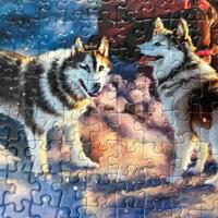 A Night of Northern Lights Puzzel 1000 Stukjes - thumbnail