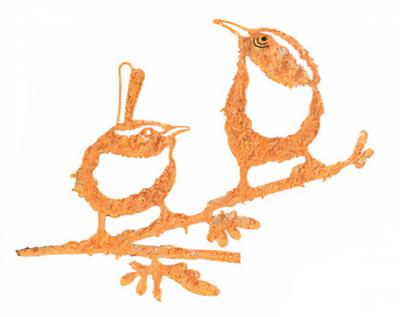 Geluksvogel winterkoning paartje roestbruin Geluksvogel winterkoning paartje roestbruin