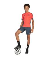 adidas Bayern München Trainingsshirt 2025-2026 Kids Oranje Donkergrijs - thumbnail