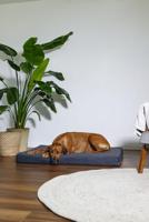 BZ ORTHOPEDISCH LIGK ZIRA DGRS 100X70 - thumbnail