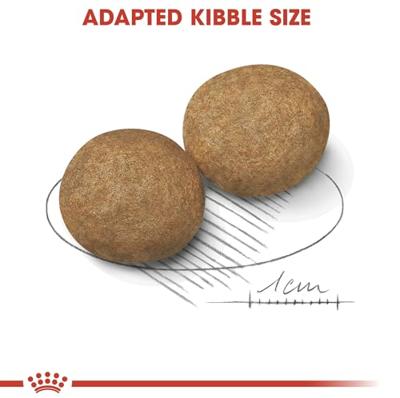 ROYAL CANIN MEDIUM ADULT