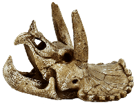 Skull Triceratops M aquaria Superfish - Superfish - thumbnail