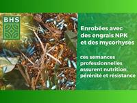 Zaden BHS 5 kg - thumbnail