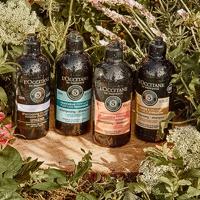 L'Occitane Essential Oils Freshness Shampoo 300ml - thumbnail