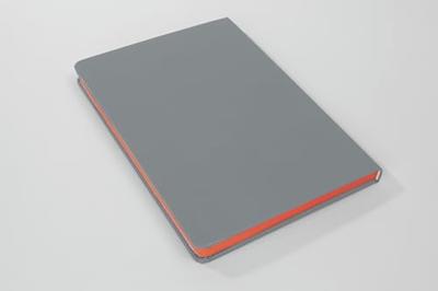 Sigel LS200 Notitieboek Linescape Hardcover DIN A5 Geruit Lichtgrijs, Neon-oranje Aantal paginas: 88 Sigel LS200 Notitieboek Linescape Hardcover DIN A5 Geruit Lichtgrijs, Neon-oranje Aantal paginas: 88