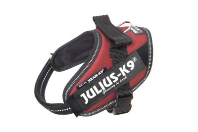 IDC Powertuig Bordeaux - Maat Mini Mini