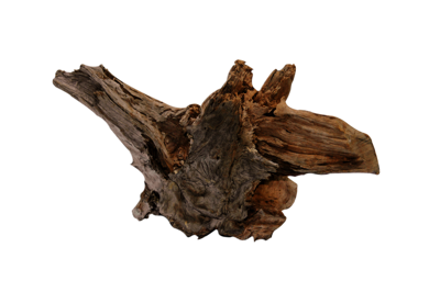 Driftwood L aquaria SuperFish - Superfish