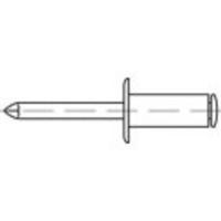 TOOLCRAFT TO-5381145 Popnagel 6 mm RVS 200 stuk(s) - thumbnail