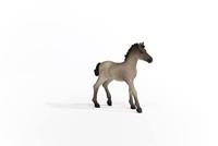 Schleich horse club criollo definitivo veulen 13949 - thumbnail