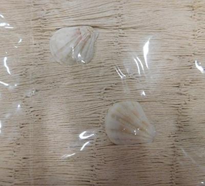 Decoratie visnet (300 x 200 cm)