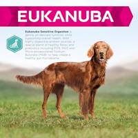 Eukanuba Dog Daily Care - Sensitive Digestion - 12kg - thumbnail