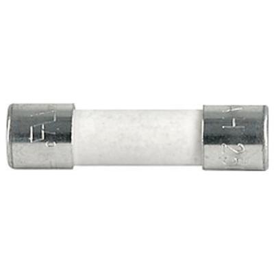 Schurter 0001.1003 G-zekering-insert 0.8 A Inhoud 1 stuk(s)