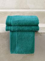 De Witte Lietaer De Witte Lietaer gastendoek Excellence 40x60 lake green - thumbnail