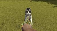 House Flipper - Pets Edition - thumbnail