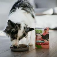 ANIMAL ISLAND Everyday Monoprotein Turkey - natvoer voor honden - 9x300g - thumbnail