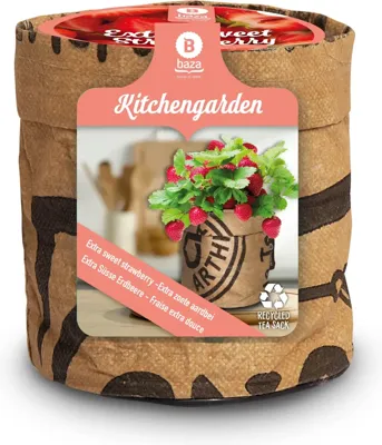 Baza keukentuintje extra zoete aardbei