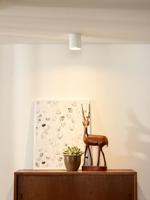 Lucide BODI - Plafondspot - Ø 8 cm - 1xGU10 - Wit - thumbnail