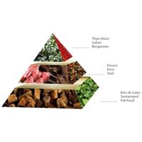 Pascal Morabito Bois & Or 200ml Eau de toilette Heren - thumbnail