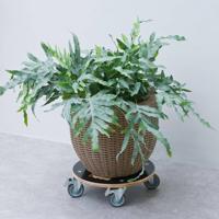 Nature planttrolley fsc hout rond 38 cm - thumbnail