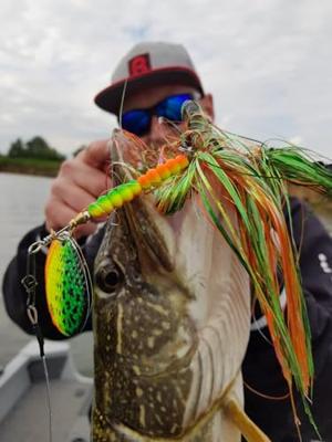 Rozemeijer Dr. Flash 56Gr Size 7 Spinner Speckled Fire Tiger