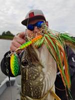 Rozemeijer Dr. Flash 56Gr Size 7 Spinner Speckled Fire Tiger - thumbnail