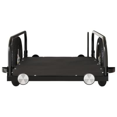 Fietstrailer 122x53x31 cm ijzer zwart - thumbnail